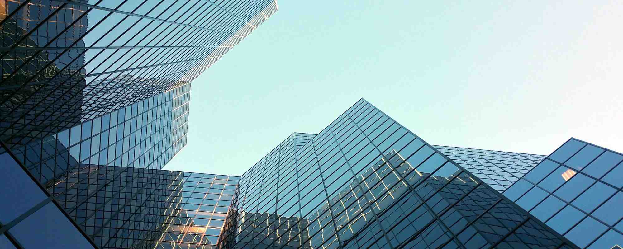 Are you feeling more optimistic about your business’ future?