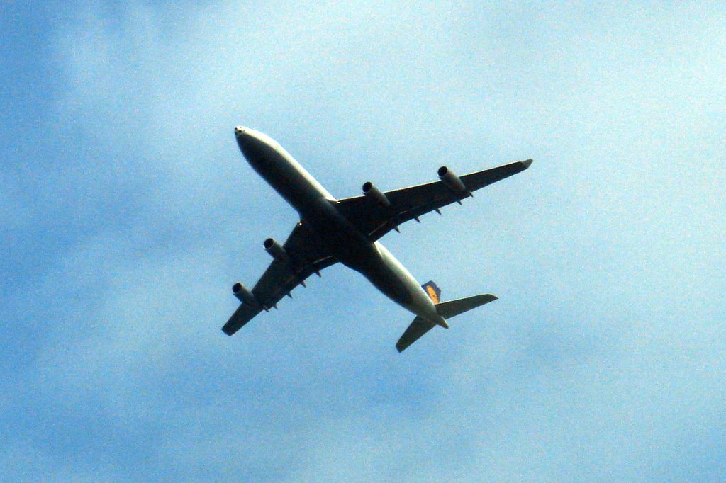 Indian Charter Airline Dove Airlines Collapses Into Liquidation After Two Decades