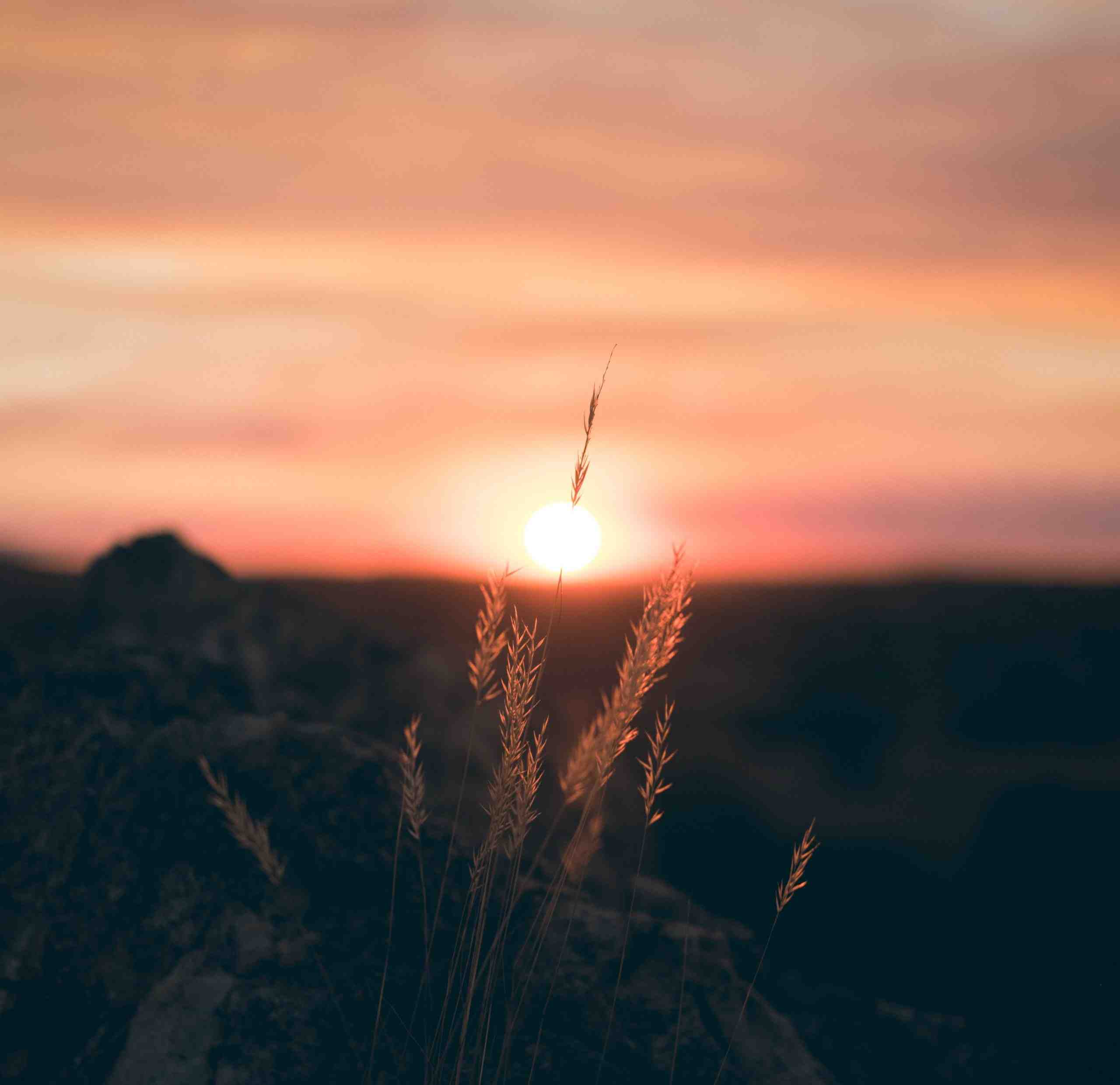 A New Year, A New Hope